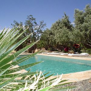Les Jardins de Skoura